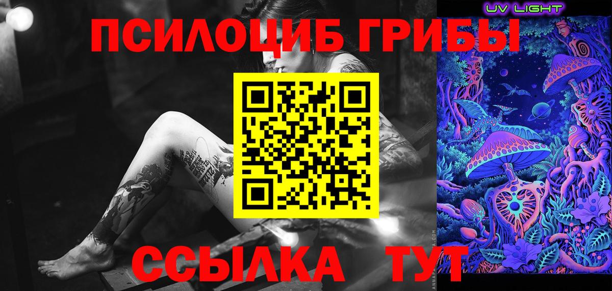 Галлюциногенные грибы мухоморы  Вход с VPN  купить наркотик  Псилоцибиновые грибы Psilocybe  Заинск 