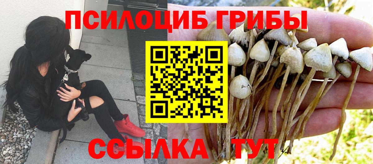 Псилоцибиновые грибы GOLDEN TEACHER Заинск
